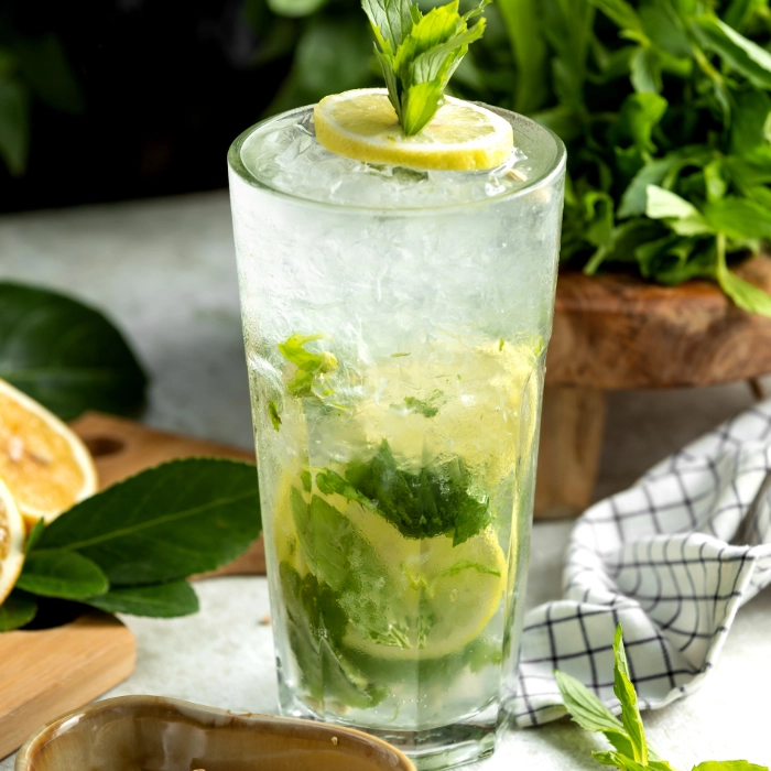 Mint Mojito